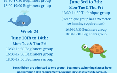Summer 2024 swimming schools