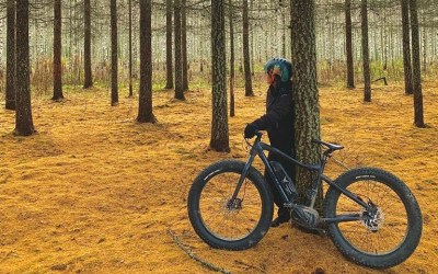 metsätaustalla fatbike ja pyöräilijä