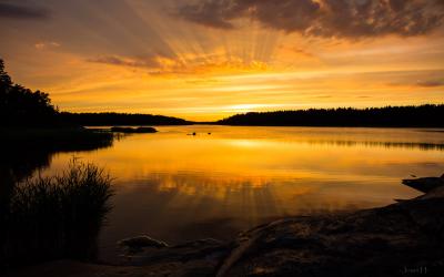 Saari058.jpg