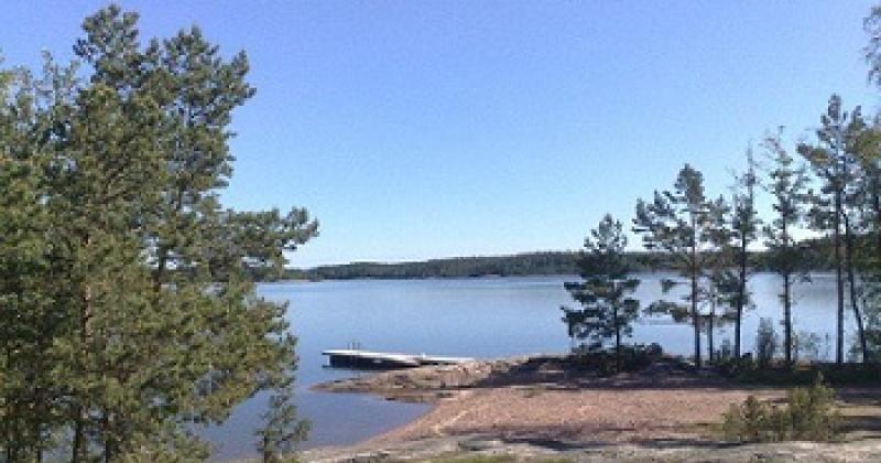 etualalla puu ja taustalla hiekkaranta laitureineen ja muutama mänty