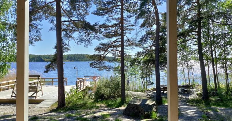 Metsälehdon sauna kesällä