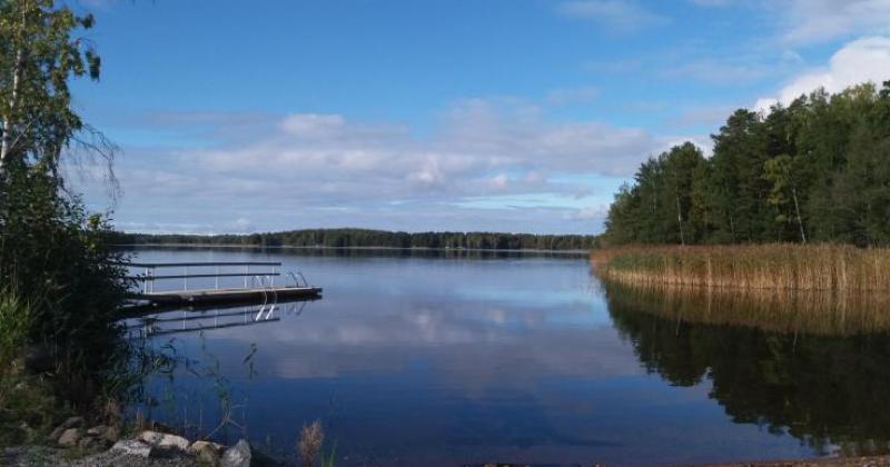 Haimion vapaasauna