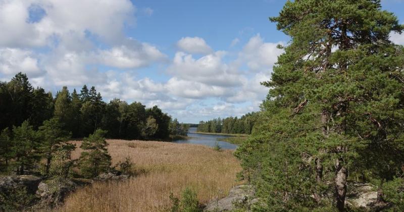 Velhoveden luontoa