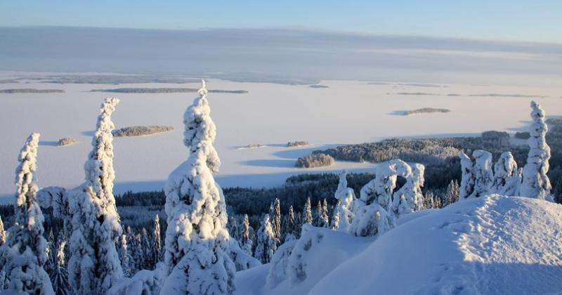 Sakunkulman Päiväkeskus