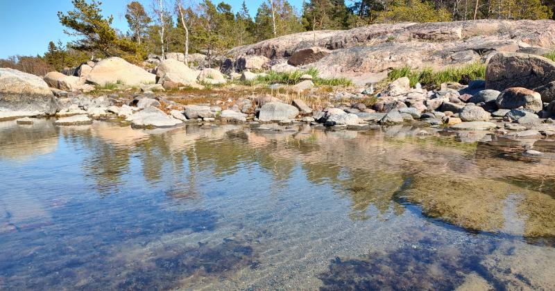 Kirkasvetinen matala ranta. Hiekkapohja ja taustalla kallioista maastoa, takana puita.
