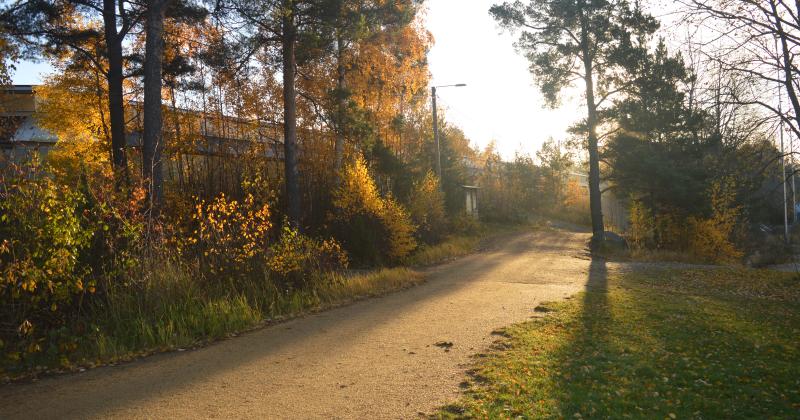 syksyinen pururata