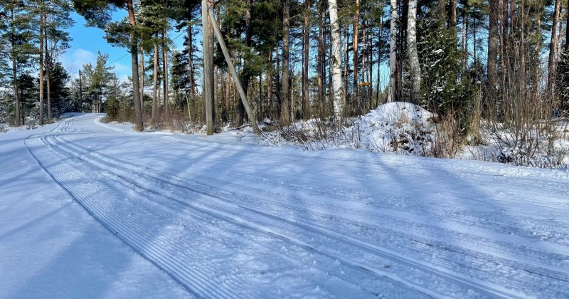 hiihtoladut edessä ja taustalla metsää