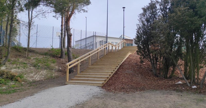 kuntoportaat reunoilla puita edessä hiekka-alue