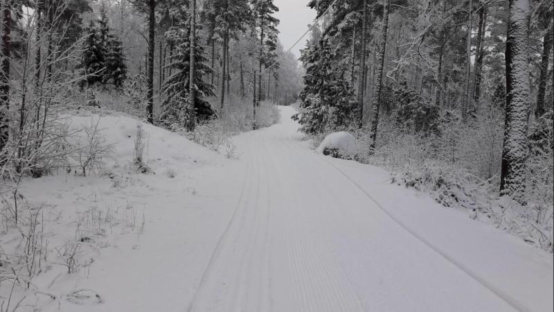 Hiihto | Uudenkaupungin Kaupunki