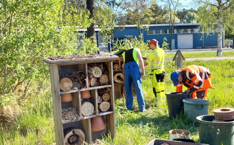 Kuvassa rakennetaan ötökkähotelleja kaupungin pellon laitaan. Työmiehiä, työkaluja sekä valmiita ötökkähotelleja.