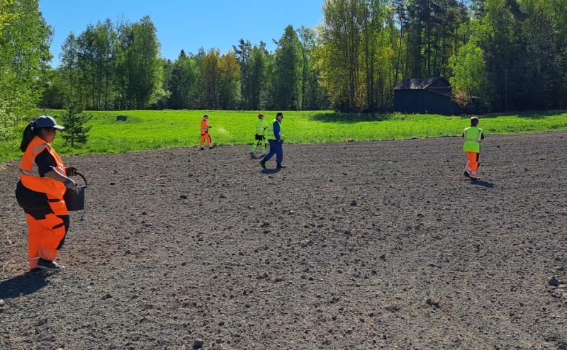 Ihmisiä huomiovaatteissa kylvämässä niittykukkien siemeniä peltoon