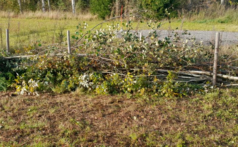 Risuista koottu aita pellon laidalla